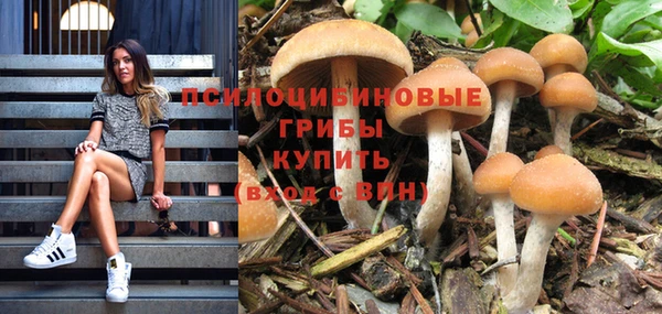 каннабис Абинск