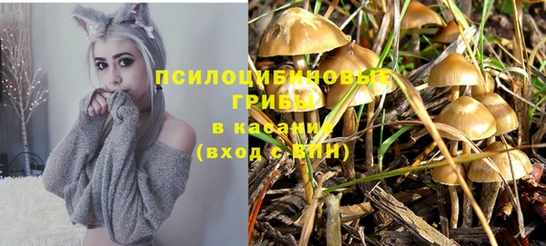 каннабис Абинск