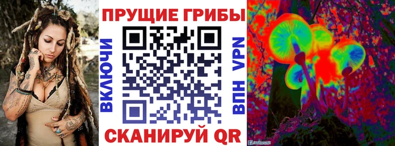 Псилоцибиновые грибы Psilocybine cubensis  Кандалакша 